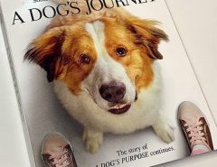 A dog's journey dvd release date