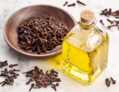 How long does clove oil repel insects