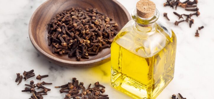 How long does clove oil repel insects